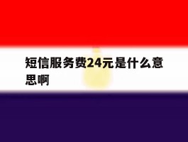 短信服务费24元是什么意思啊