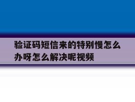 包含验证码短信来的特别慢怎么办呀怎么解决呢视频的词条
