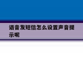 语音发短信怎么设置声音提示呢