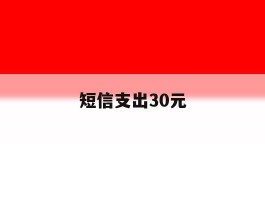 短信支出30元