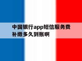 包含中国银行app短信服务费补缴多久到账啊的词条