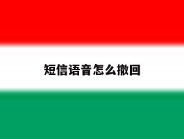 短信语音怎么撤回