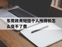 东莞政务短信个人所得税怎么交不了费