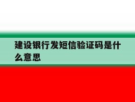 建设银行发短信验证码是什么意思