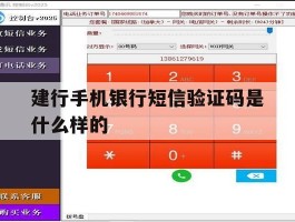 建行手机银行短信验证码是什么样的