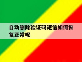 自动删除验证码短信如何恢复正常呢