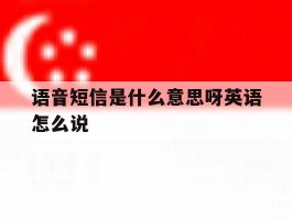 语音短信是什么意思呀英语怎么说