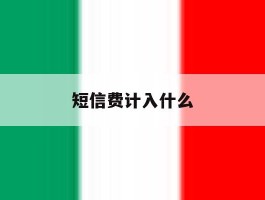 短信费计入什么