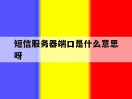 短信服务器端口是什么意思呀