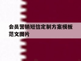 会员营销短信定制方案模板范文图片