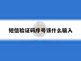 短信验证码序号该什么输入