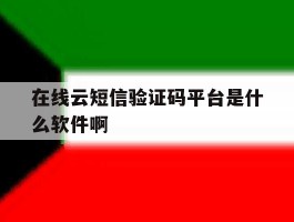在线云短信验证码平台是什么软件啊