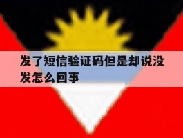 发了短信验证码但是却说没发怎么回事
