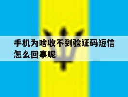 手机为啥收不到验证码短信怎么回事呢