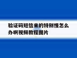 关于验证码短信来的特别慢怎么办啊视频教程图片的信息