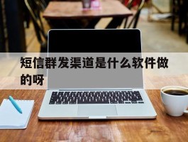 短信群发渠道是什么软件做的呀