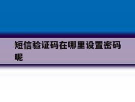 短信验证码在哪里设置密码呢