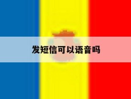 发短信可以语音吗