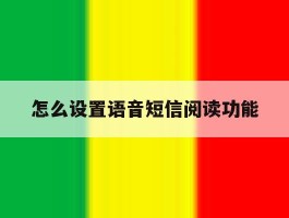 怎么设置语音短信阅读功能