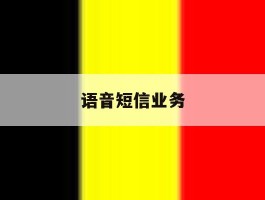 语音短信业务