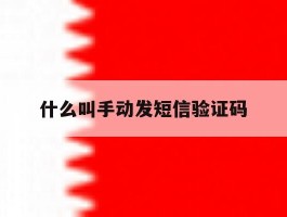 什么叫手动发短信验证码