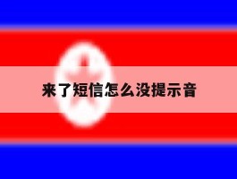 来了短信怎么没提示音