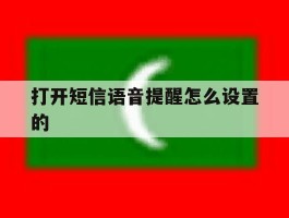打开短信语音提醒怎么设置的
