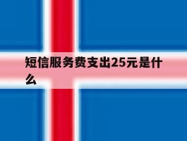 短信服务费支出25元是什么