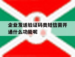 企业发送验证码类短信需开通什么功能呢的简单介绍