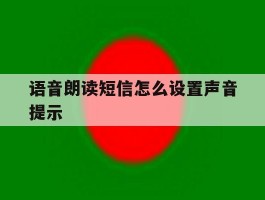 语音朗读短信怎么设置声音提示