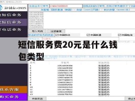 短信服务费20元是什么钱包类型的简单介绍