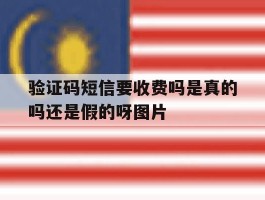 验证码短信要收费吗是真的吗还是假的呀图片的简单介绍