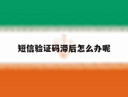 短信验证码滞后怎么办呢