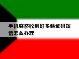 手机突然收到好多验证码短信怎么办理